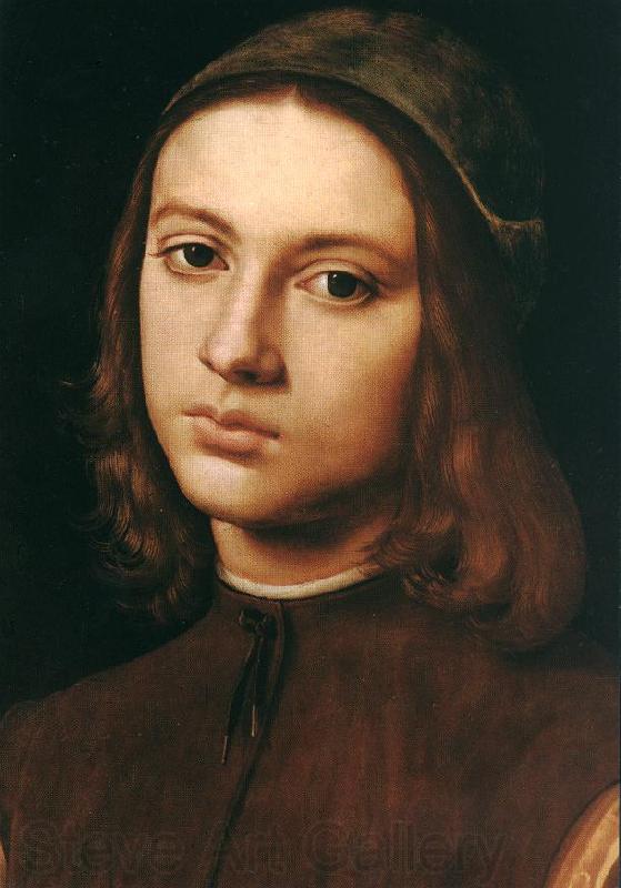 PERUGINO, Pietro Portrait of a Young Man (detail) af Norge oil painting art